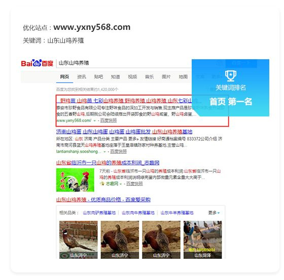 未标题-18.jpg