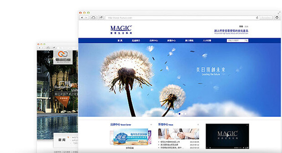 品牌网站建设